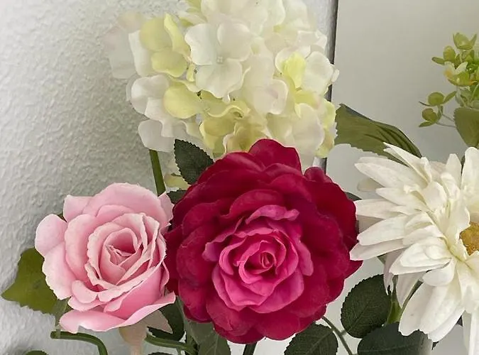 Main Street 普拉亚戴尔雷安格莱斯