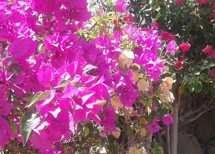 Main Street Плайя-дель-Інглес