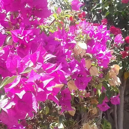 Main Street Playa del Inglés